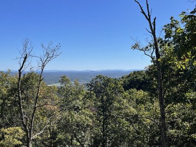 A long view on Longview