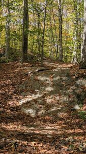 Steeper than it looks.