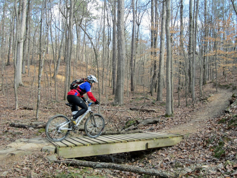 Gaby Bayhi grinds up the Gulch for another run on Lightning Ridge!