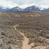 Disco singletrack and the Beaverhead Mountains.