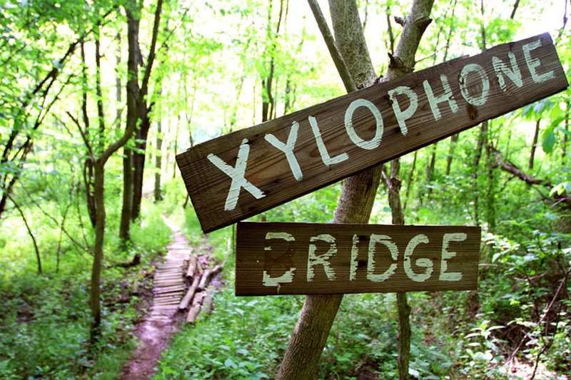 Xylophone Bridge