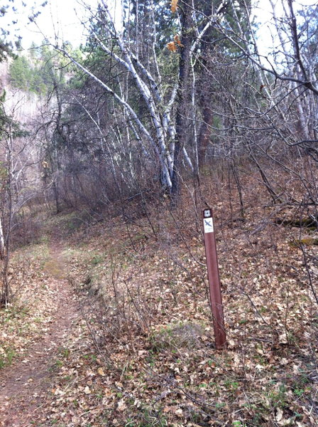 From the Forest Service gate looking south. Representative trail marker