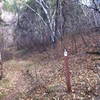 From the Forest Service gate looking south. Representative trail marker