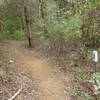 Entrance to Harveys Trail.   This track is tight and includes a great switchback.