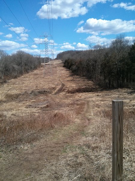 Power lines