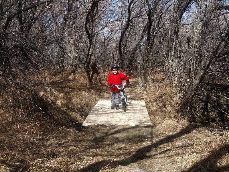 Bridge over the creek. He approves of the construction.