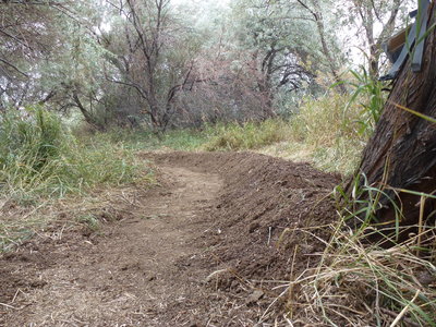 There are berms!