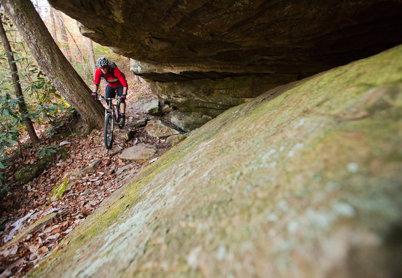 There aren't many technical sections on Grand Gap.  The ones that you will find travel through spectacular settings.