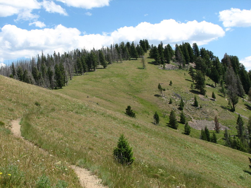 Can you see the rider on the trail?
<br>
View from the junction of Porcupine Creek Trail and Warm Springs Ridge.