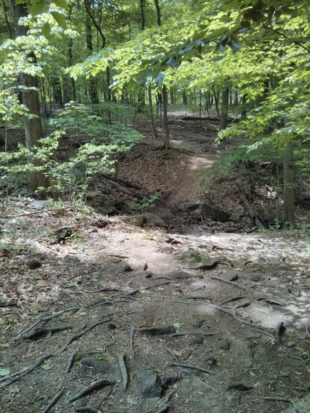 rocky crossing