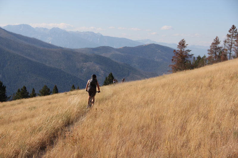 Top of the first descent on Warm Springs Ridge.