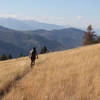 Top of the first descent on Warm Springs Ridge.