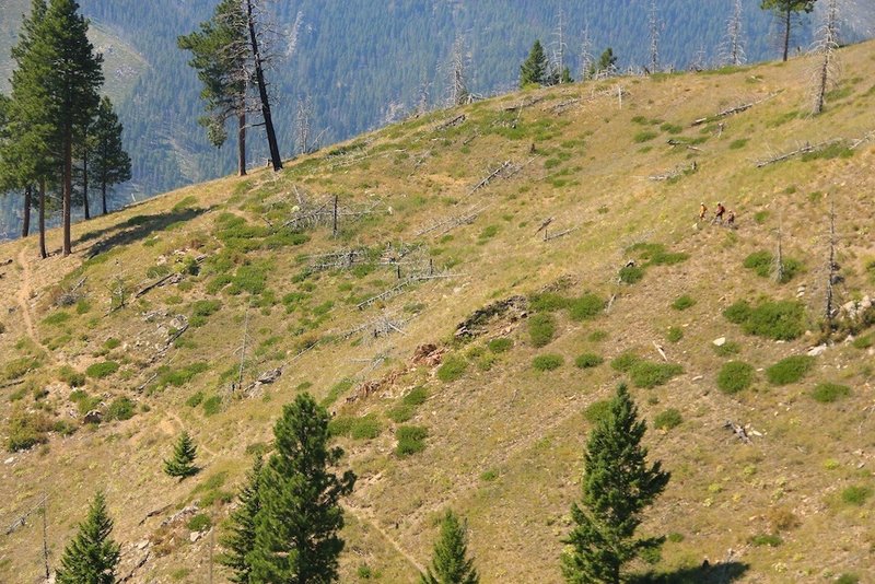 Upper Fire Creek Trail.