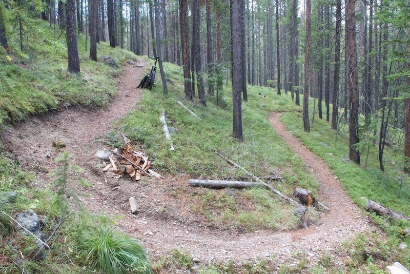 One of 29 switchbacks on Porcupine Creek Trail.