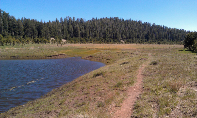 Heading out into the meadows of the Dry Lakes.