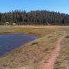 Heading out into the meadows of the Dry Lakes.