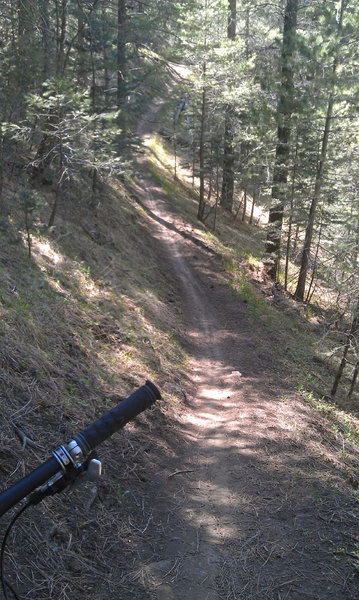 Fun rolling singletrack at the upper end of the Schultz Creek Trail.