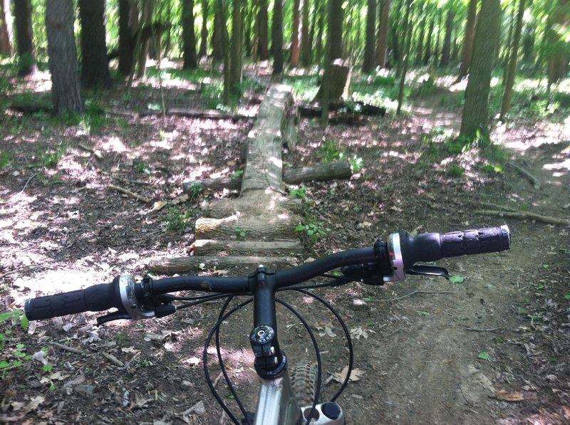 One of the log rides on the Thorn Trail