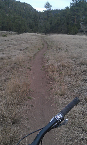 Smooth singletrack as you approach the head of Walnut Canyon.