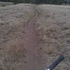 Smooth singletrack as you approach the head of Walnut Canyon.