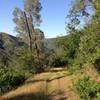 View of doubletrack trail going down into the canyon from buck meadows