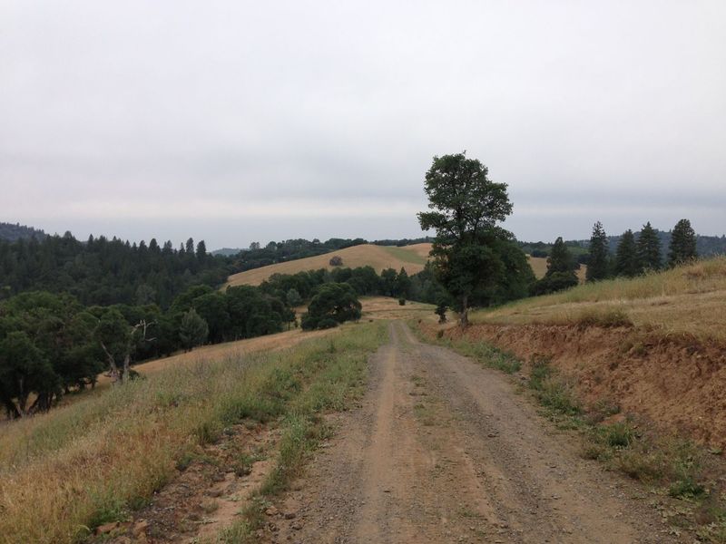 Pine Mountain Lake Campground trails, dirt road on branding iron dr