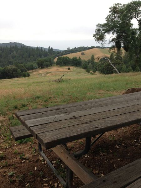 View of trail from a picnic table at Pine Mountain Lake Campground Trails