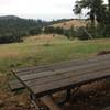 View of trail from a picnic table at Pine Mountain Lake Campground Trails