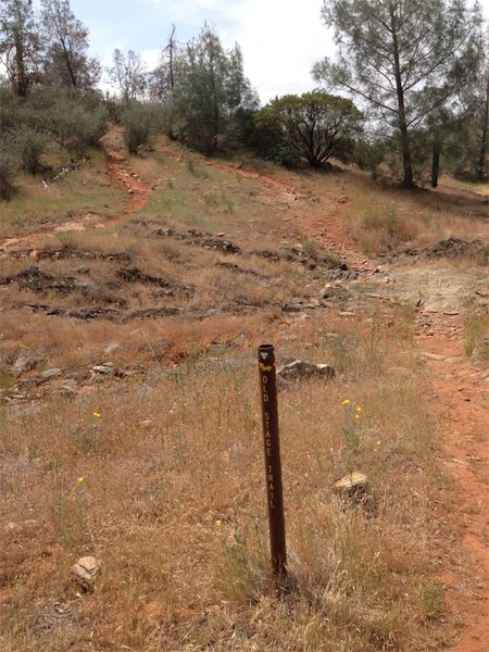 Old Stage Trail Intersection at Red Hills Trails