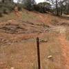 Old Stage Trail Intersection at Red Hills Trails