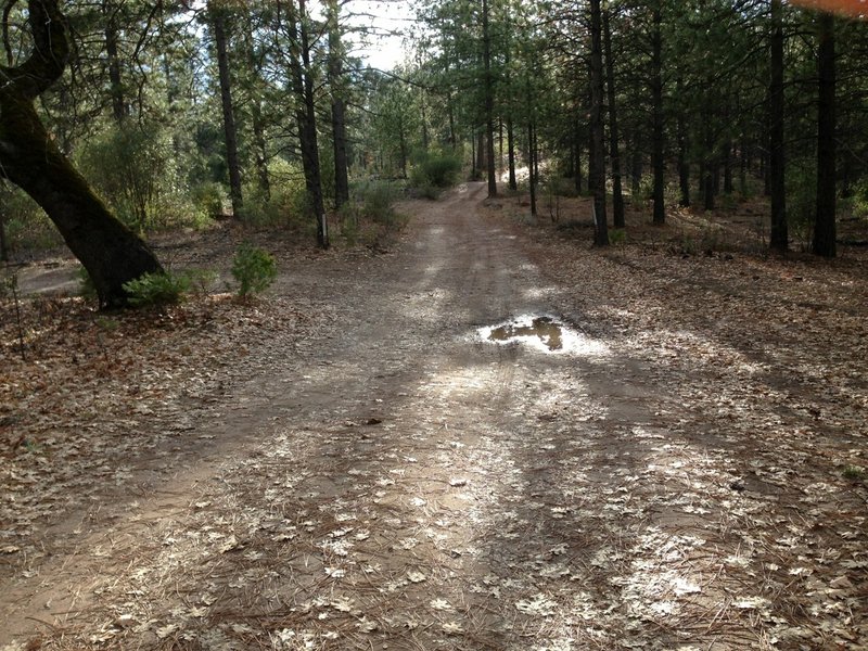 Start of the 1s33 road at the trailhead