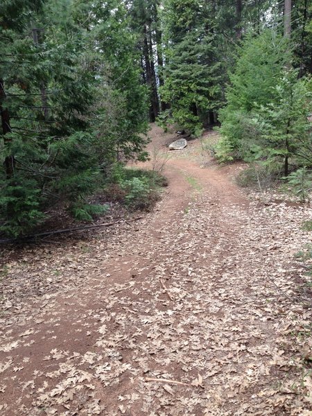 View of doubletrack trail on the way down from the saw mill mountain peak