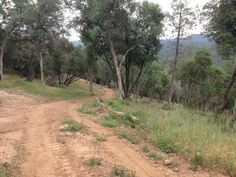 Going down fenceline trail at Pine Mountain Lake Campground Trails