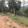 Going down fenceline trail at Pine Mountain Lake Campground Trails