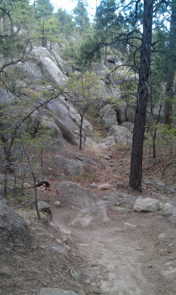 Climbing along the base of Mount Elden gets you up close to some cool rock formations.