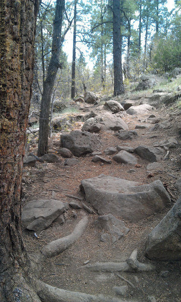 Just past Buffalo Park the trail gets rocky for a short stretch. Easily walked if necessary.