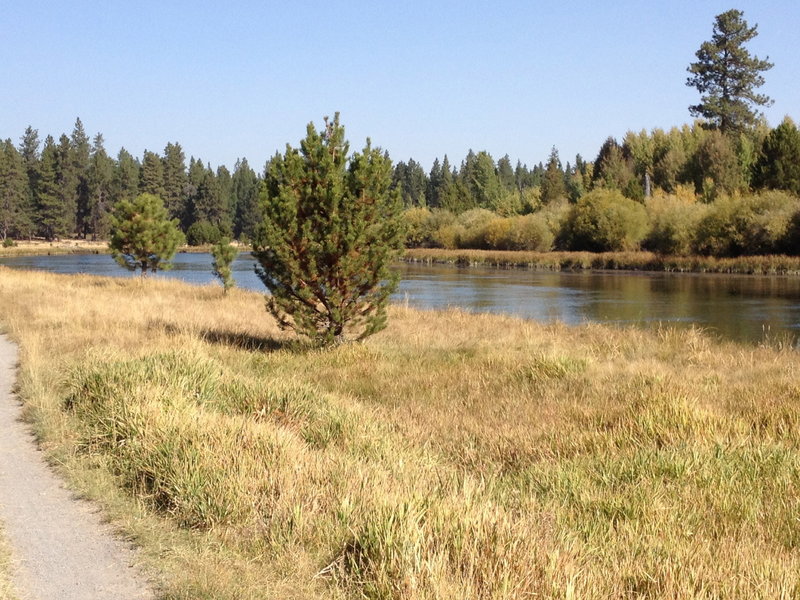 Riverside trail and beautiful meadow