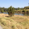 Riverside trail and beautiful meadow