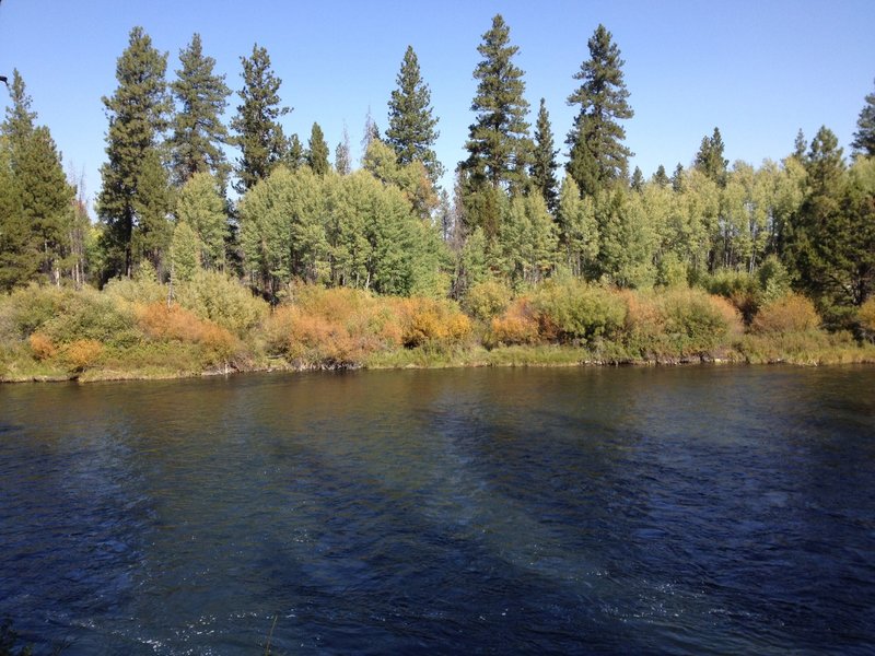 Fall colors along the Deschutes River