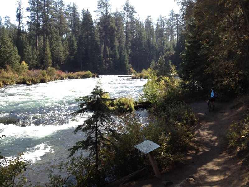 Plenty of great rapids to view.