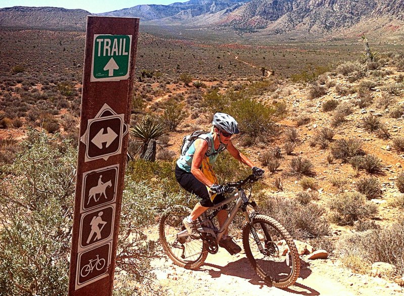 Topping out after the Little Baja area. Several options to ride from here