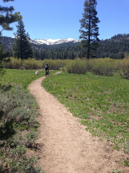 Through the meadow, one more climb to go.