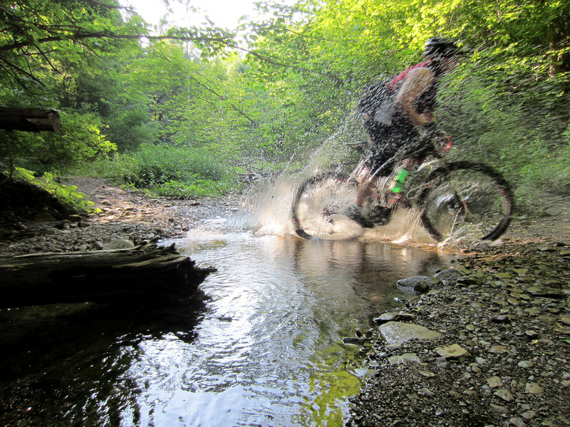 A little water to cool off with.