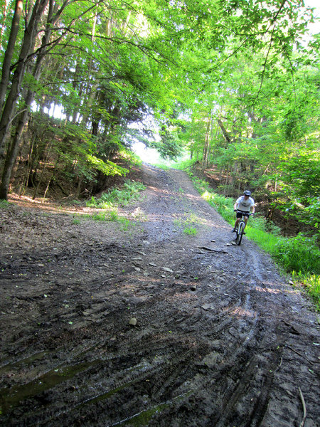 Steep, wet and slick descent.