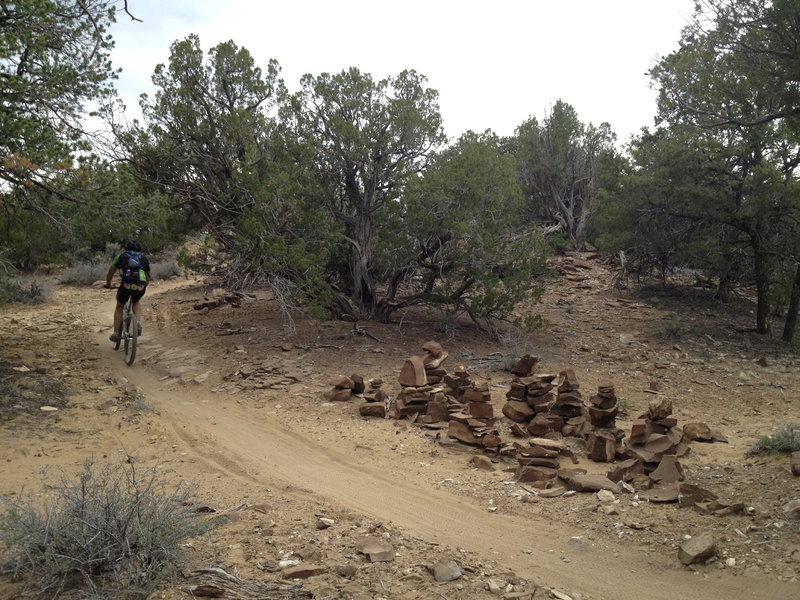 Riding past the cairn nursery. When they are full grown they get moved out onto the trail.