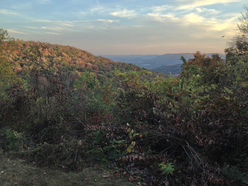 View of McKay Hollow from Picnic Point.