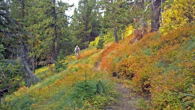 Descending through the fall colors