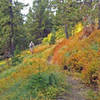 Descending through the fall colors