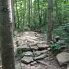 Rock armoring on the Goat Trail.