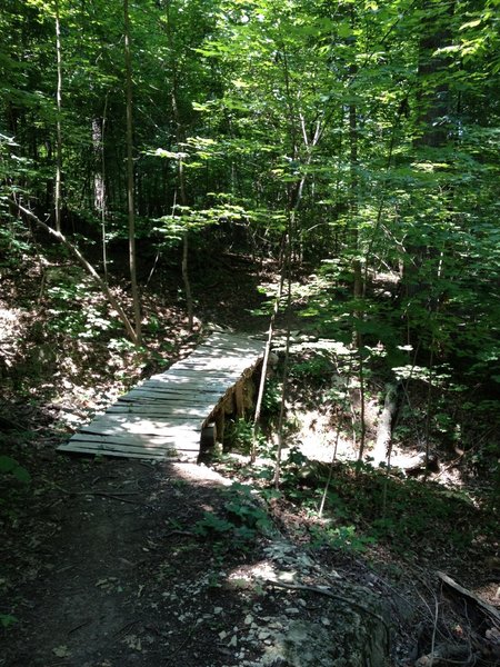 New bridge on the Goat Trail.  There is another one just past it, before arriving at the Flat Rock South Connector.